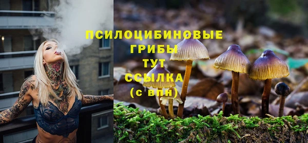 МДПВ Касимов