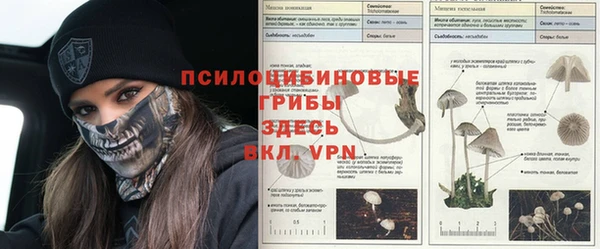 МДПВ Касимов